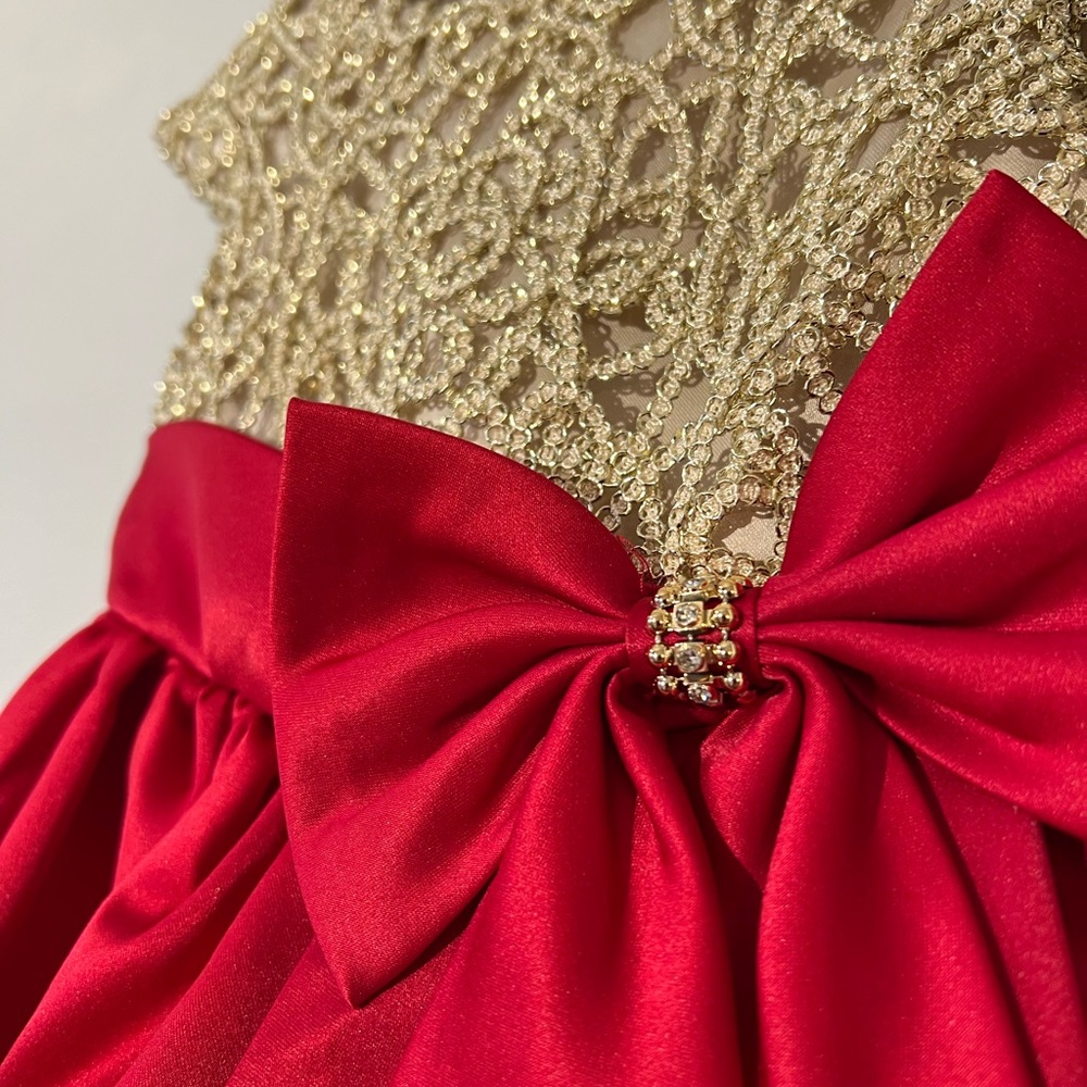 Rare Editions Gold and Red Formal Dress